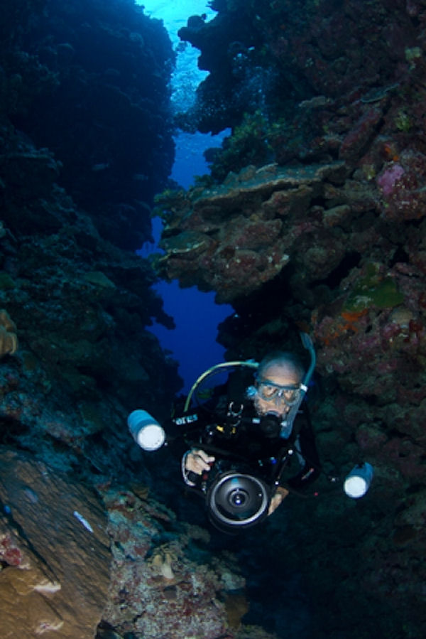 Scuba Dive Cairns Mike Ball Liveaboard Swimthrus at Osprey Reef.